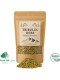 Tribulus Terrestris | Caltrop | Gokshura | Puncture Vine | Tribulus creeping | Churna | Herbal Infusion seeds bulk