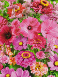 Pretty Pink Mix Flowers 500+ Seeds seeds bulk
