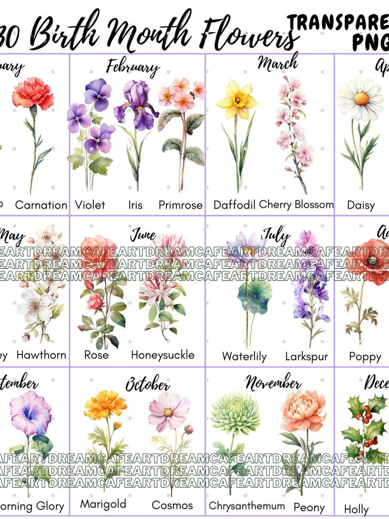 130 PNG Birth Month Flowers Clipart, Watercolor Floral PNG, Birth Month Flower Bundle, Birthday Clipart, Digital Floral Set,Instant Download birthday flower