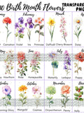 130 PNG Birth Month Flowers Clipart, Watercolor Floral PNG, Birth Month Flower Bundle, Birthday Clipart, Digital Floral Set,Instant Download birthday flower