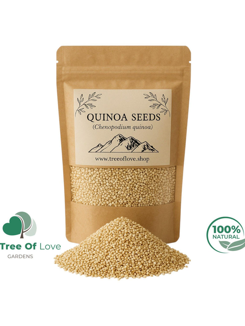 Quinoa Seeds | White Quinoa Seeds | Chenopodium Quinoa | | Dried Herbs | Herbal Tea | Herbal Products | Bulk Herb | Herbal Infusion seeds bulk