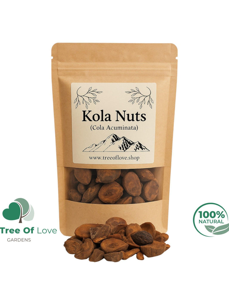 Kola Nuts | Cuts | Dried | Cola Nut Seeds - Cola Acuminata | Dried Herbs | Herbal Tea | Herbal Products | Bulk Herb | Herbal Infusion seeds bulk