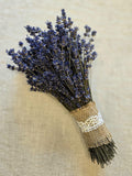 Mini Dried English Lavender Bouquet - 2025 harvest FLOWER DELIVERY