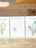 Pack of Sympathy Cards | forget me not, snowdrop, dandelion, with deepest sympathy, thinking of you, condolences card, sympathy card sympathy flower