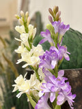 Faux Tuberose Stem: White & Lavender Silk Flower, Wedding Bouquet silk flower