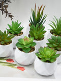 Artificial Succulent Potted Plant, Fake Tropical Cactus,Simulated Plants Decoration faux plants