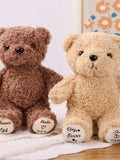 Personalized Ring Bearer Teddy Bear,Ring Bearer Proposal,Teddy Bear,Ring Bearer Bear,Wedding Bear,Flower Girl Wedding Party,Flower Girl Gift wedding flower