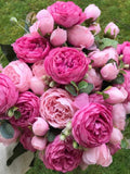 Silk Rose and Peony Artificial Flower Bouquet Ð Flowers, DIY Flowers, Wedding Decor, Party, Home Decor, Artificial Flowers, Flowers Plants FLOWER DELIVERY