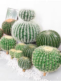 Artificial Big Cactus Plant, Simulated Round Cactus ,Tropical Plants faux plants
