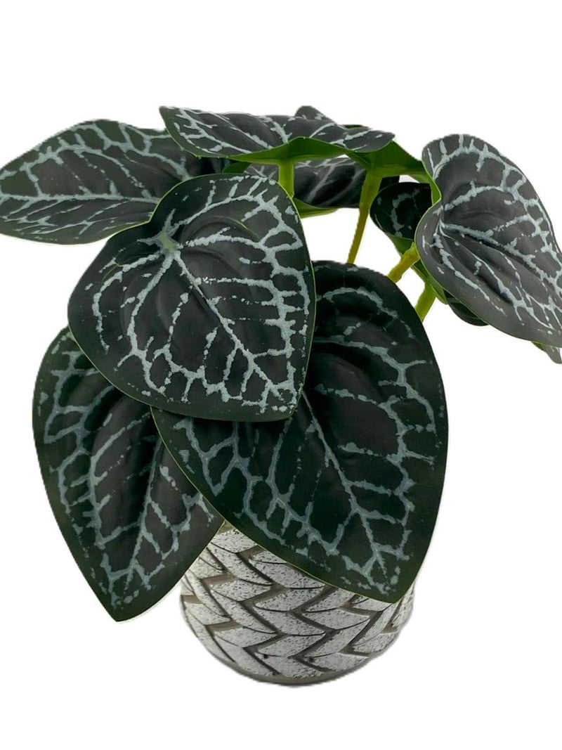 Artificial Printed Nerve Plant Bush 18cm - With or Without Pot faux plants