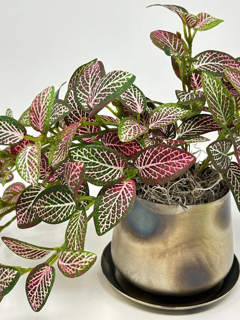 9" Small Artificial PINK FITTONIA NERVE faux Silk plant in Silver Metal 3.5" Pot faux plants