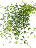Cascading Clematis Vines: Realistic Silk Trailing Stems 2.8 ft faux plants