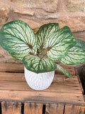 Brunnera Leaf Bunch In Green With Or Without Pot faux plants