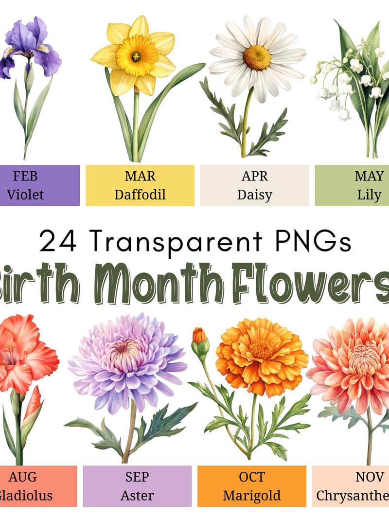 Birth Month Flowers Clipart Bundle, 24 Transparent PNGs, Botanical Floral Illustrations, Birthday Flower Art, Digital Download birthday flower