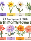 Birth Month Flowers Clipart Bundle, 24 Transparent PNGs, Botanical Floral Illustrations, Birthday Flower Art, Digital Download birthday flower