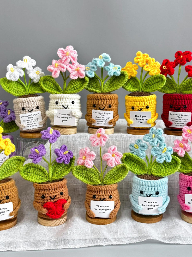 Handmade Crochet Forget me not Flowers with Hugging Heart,Emotional Support Potted Plant,Supportive Gift Au Flower,Mother's Day gift ANNIVERSARY