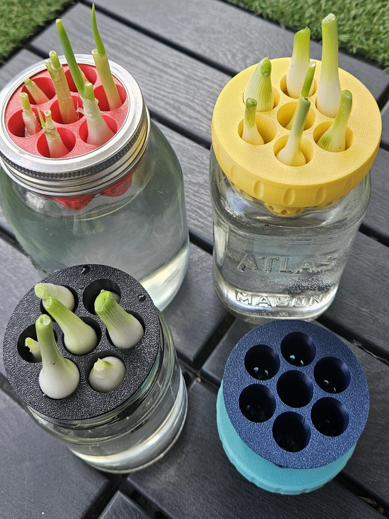Green Onion Re-Grower: Kratky Hydroponics Adapter for Mason Jars flower spore