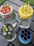 Green Onion Re-Grower: Kratky Hydroponics Adapter for Mason Jars flower spore