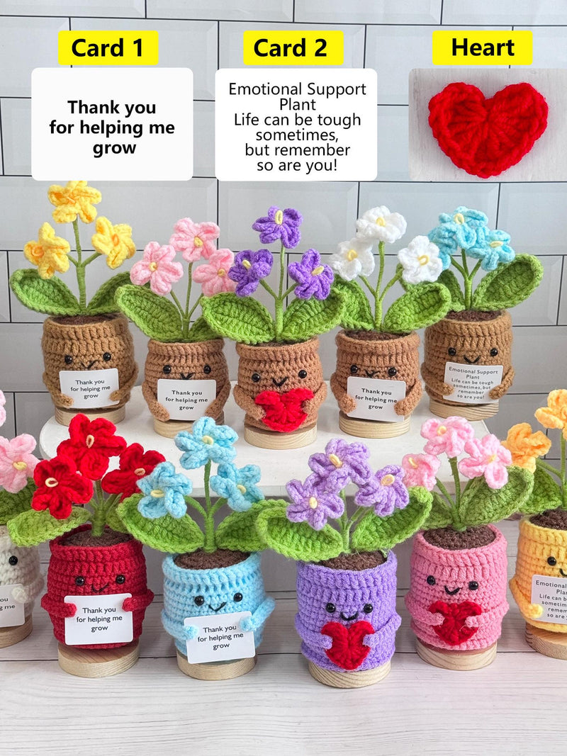 Personalized Handmade Crochet Forget me not Flowers,Emotional Support Plant,Mother's Day Gift,Thank you Gift for Mom/Teachers/Friends ANNIVERSARY