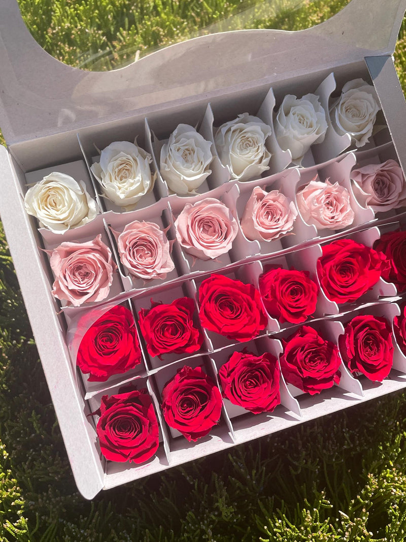 Color-Assorted Preserved Rose Vivian Red Mix Wedding Home decor flower Floral Arrangement Qty 24 FLOWER DELIVERY