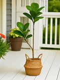 Tall Artificial Magnolia Plant Ð Realistic Faux Green Tree for Indoor & Outdoor Decor, Faux Magnolia, Large Faux Plant, Modern Garden Accent faux plants