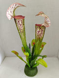 Artificial Pitcher Plant Carnivorous Plants Silk Flowers faux plants