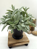 Faux Sage Arrangement in Black Ceramic Vase, Small Greenery Vase for Coffee Table, Fake Plant Decor, Herb Plant Pot for Kitchen Counter faux plants