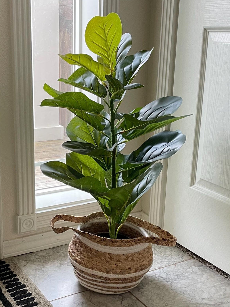 Artificial Fig Tree Fake Potted Plant Small Tree Wedding Supply Party Decor Event Backdrop Greenery Reception Decor Outdoor Wedding Greenery faux plants