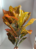 LARGE Artificial Croton plant ORANGE faux plants