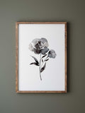 Black and White Floral Watercolor Art Print house warming flower