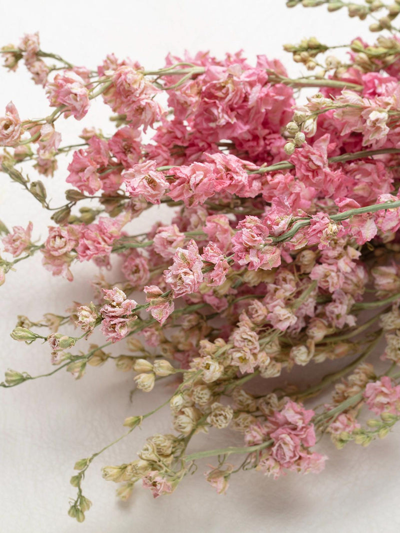 Dried pink Delphinium, 10 flowers stems, Gift, Home Party Decor, Dried Flowers, Wedding Cake Decoration, Boho Rustic Wedding decor FLOWER DELIVERY