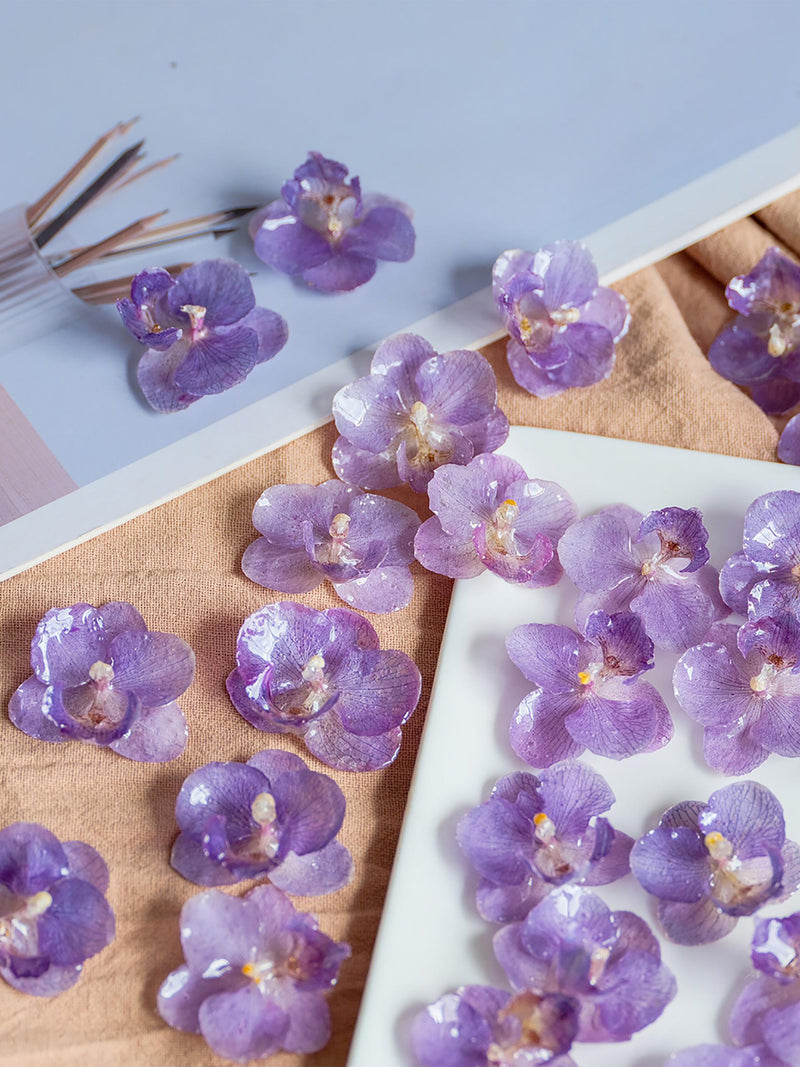 resin real Phalaenopsis petal_natural orchid flower head_DIY craft supply for jewelry/earring/key chain/necklace_resin pressed flower FLOWER DELIVERY