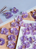 resin real Phalaenopsis petal_natural orchid flower head_DIY craft supply for jewelry/earring/key chain/necklace_resin pressed flower FLOWER DELIVERY