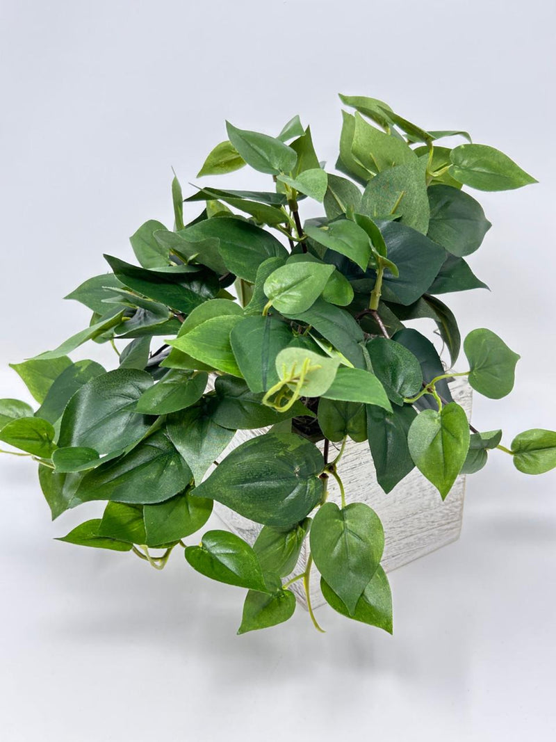 Potted Faux Pothos Plant in White Wood Box - 9" faux plants