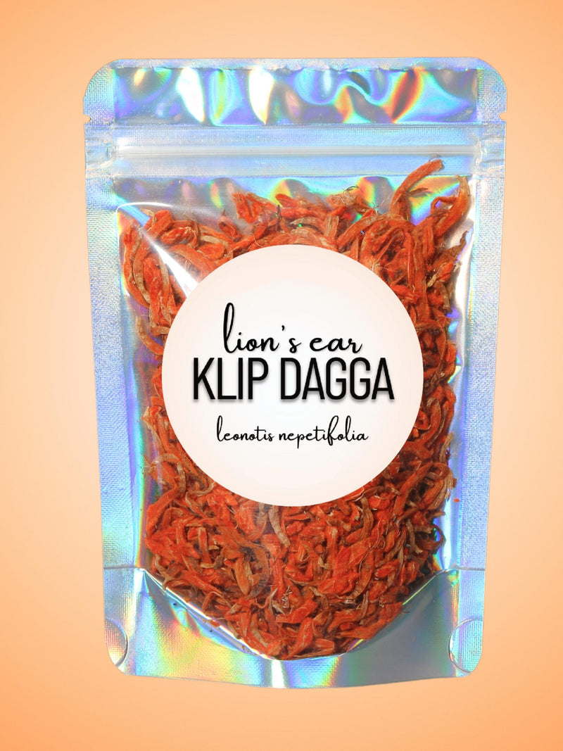 Klip Dagga "Lion's Ear" Flower Petals ¥ Leonotis nepetifolia ¥ All-Natural ¥ Uplifting Ritual & Ceremony Herb seeds bulk