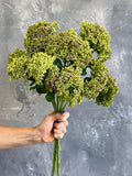 Faux Garden Stonecrop Long Branch - Artificial Plant - Green faux plants