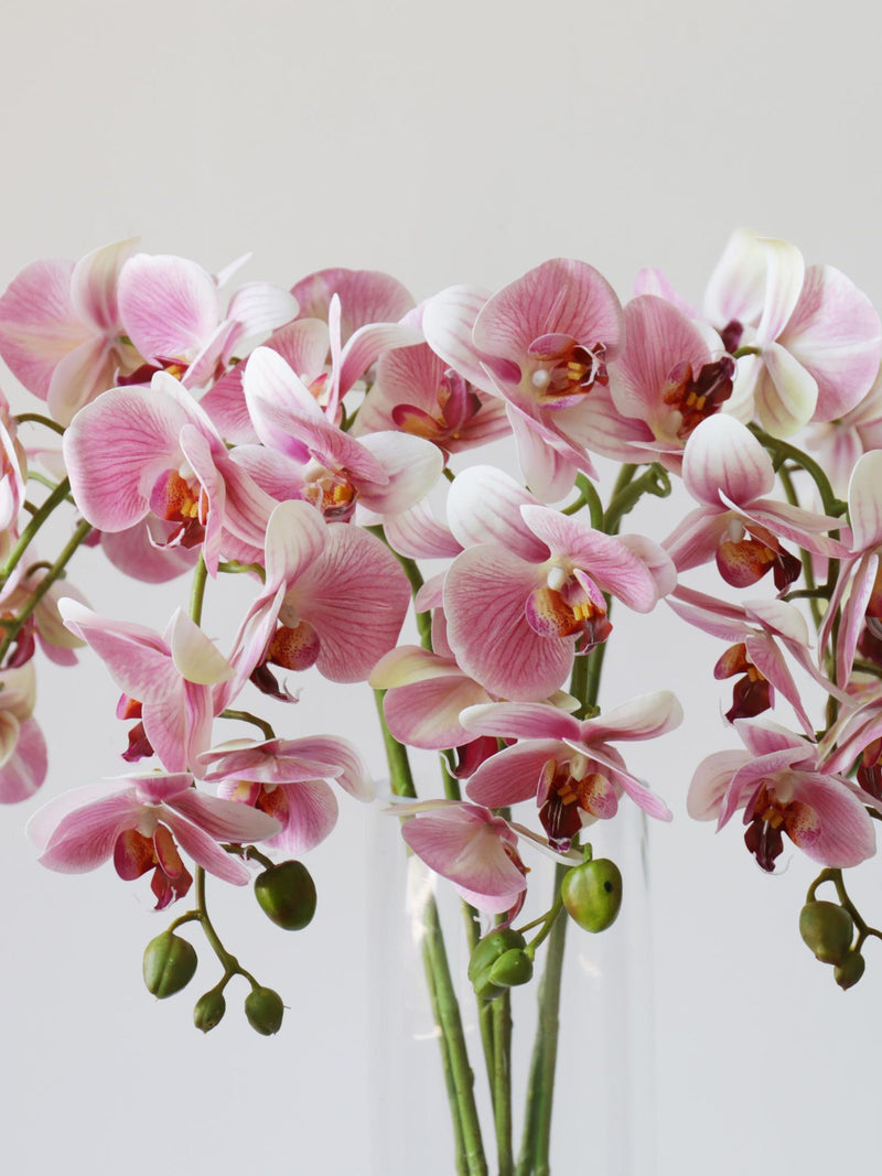31 '' Real Touch Butterfly Orchid, Silk Flowers for Home Decorations, Wedding Gifts, Gift for Her, Artificial Flower, Natural Look Flowers FLOWER DELIVERY