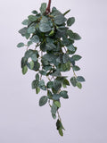 Tropical Hanging Fittonia Plant Vine Faux Everyday Greenery Bush Spray - 29" faux plants