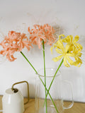 Handmade Crochet Spider Lily Bouquet: Soft Yarn Flower Stems flower spore