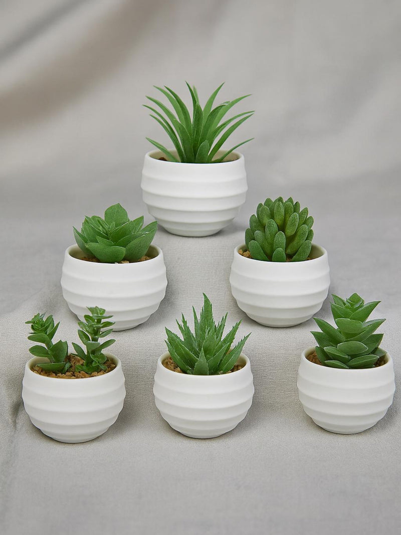 6 Pack Mini Artificial Succulent Plants Ð Small Realistic Fake Potted Greenery for Home, Office, or Room Decor Indoor Faux Plants faux plants