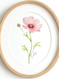 Digital Download: Custom Watercolor Floral Cosmos Print - October Birth Flower Gift birthday flower
