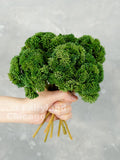 Real Touch Sedum Cluster Stem - Artificial Plant - Forest Green faux plants