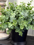 Faux Plants in Black Pot, Artificial Greenery, Small Shelf Decor, Artificial Plants for Kitchen, Eucalyptus for Bathroom Counter, Desk Plant faux plants