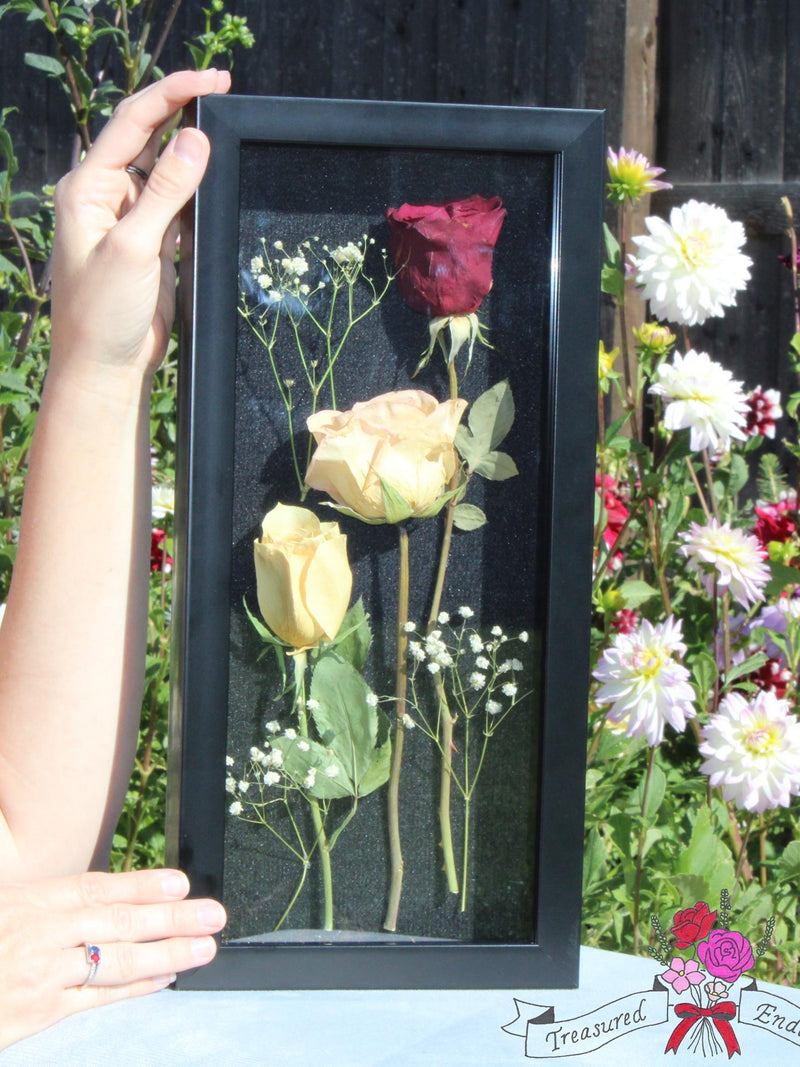 Preserved Red, Pink and White Rose Arrangement Encased in a Black Shadowbox sympathy flower
