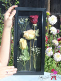 Preserved Red, Pink and White Rose Arrangement Encased in a Black Shadowbox sympathy flower