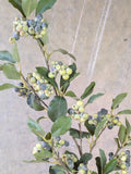 Faux Green and Dusty Blue Berries Spray - Artificial Fruits Spray / Wedding / Living Room Decors / Home Decorations / DIY / Gifts / Branches faux plants