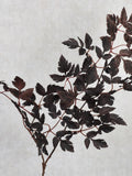 Faux Plum Purple Cimicifuga Leaf Spray  - High Quality Artificial Foliage / Greenery / Plant / Wedding / Autumn / Home Decor / DIY / Gifts faux plants
