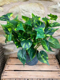 Philodendron Leaf Extra Large Bunch With or Without Pot faux plants