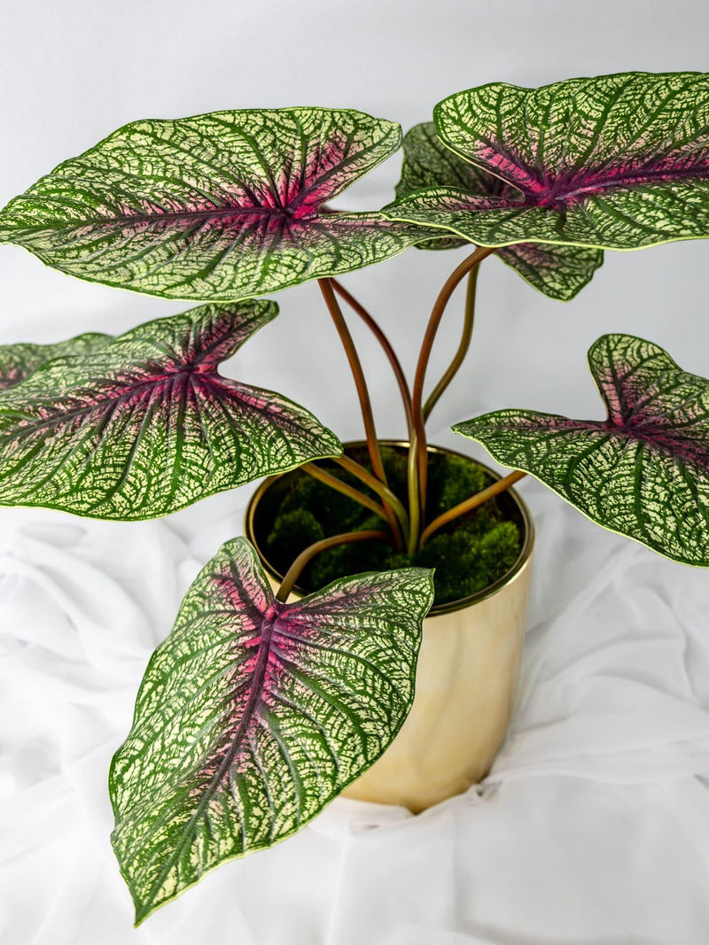 Moss Green Caladium Leaf, Faux Caladium Foliage, Realistic Artificial Greenery for Floral Designs faux plants