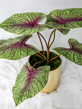 Moss Green Caladium Leaf, Faux Caladium Foliage, Realistic Artificial Greenery for Floral Designs faux plants